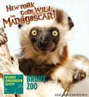 Bronx Zoo's Madagascar Exhibit